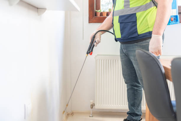 Best Termite Control Services  in Palo Cedro, CA