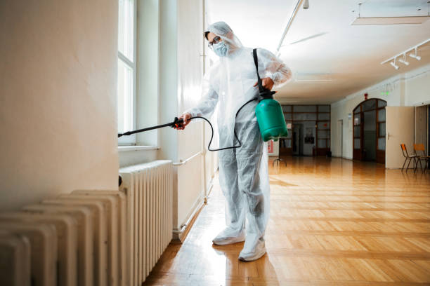 Reliable Palo Cedro, CA Pest Control Solutions