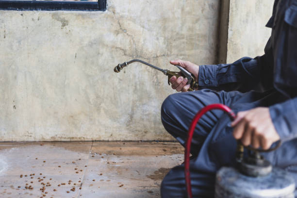 Best Pest Control Near Me in Palo Cedro, CA